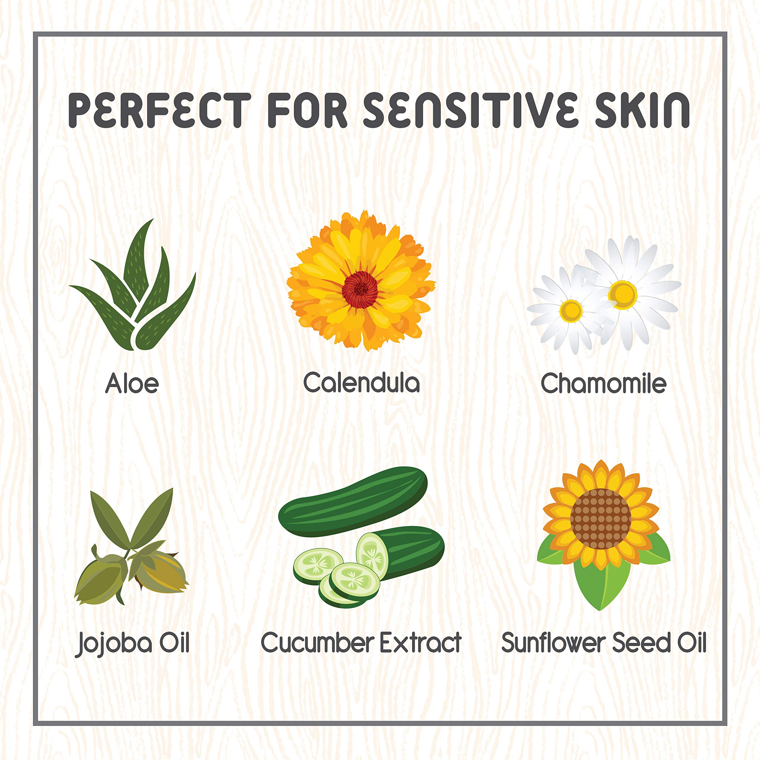 Little Twig Baby Powder, Natural Plant Derived Formula with Cornstarch and Aloe, 100% Talc-Free Powder, Fragrance-Free, 4.5 oz