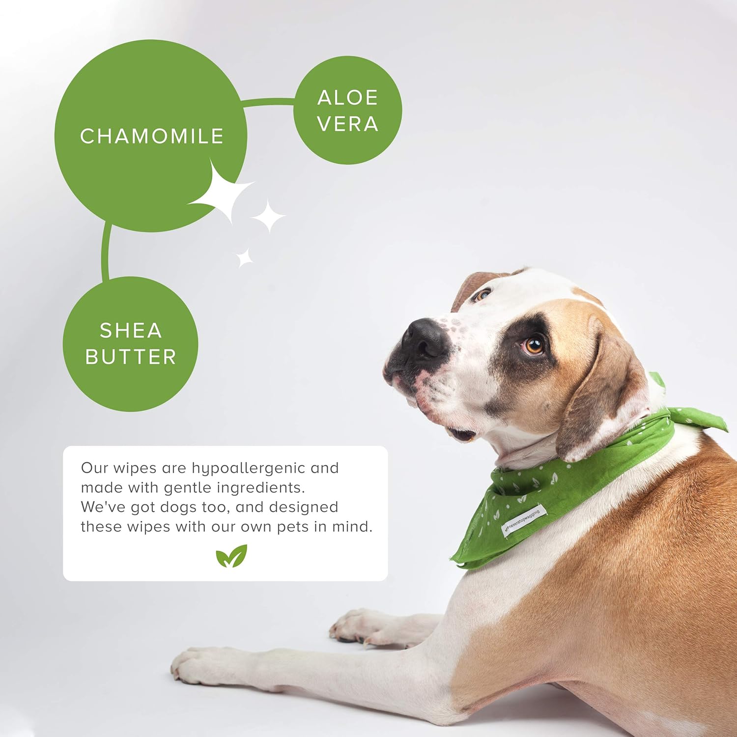 Earth Rated Dog Wipes, 100 Plant-Based and Compostable Wipes for Dogs, USDA-Certified 99 Percent Biobased, Hypoallergenic, Unscented 8x8 Deodorizing Grooming Pet Wipes for Paws, Body and Butt