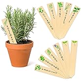 Huray Rayho 12PCS Wooden Indoor Herb Plant Labels Signs - Assorted Indoor Garden Stakes - Re-Usable Plant Tags