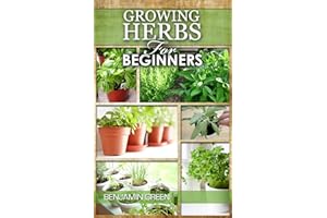 GROWING HERBS: How to Grow Low cost Indoor and Outdoor Herbs in containers, for Profit or for health benefits at home, Simple