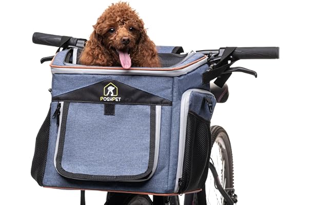 Best Dog Bicycle Carriers