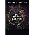 The True Creator of Everything: How the Human Brain Shaped the Universe as We Know It