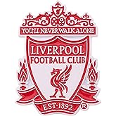 Desert Cactus Liverpool FC Lapel Pins Football Soccer Logo Enamel Made of Metal