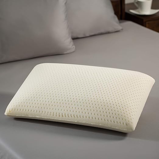 Amazon Com National Sleep Products Premium Natural Latex Foam