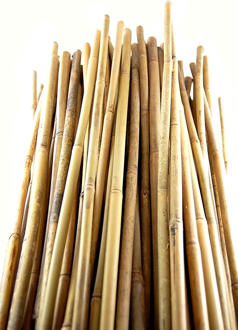 photo Bamboo Sticks For Plant Support Amazon bamboo stakes natural h