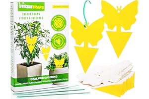 EcoCanucks Sticky Traps (20 Pack) | Sticky Fruit Fly Traps & Gnat Traps | Fungus Gnats, Fruit Flies, Mosquitoes, Flying Insec