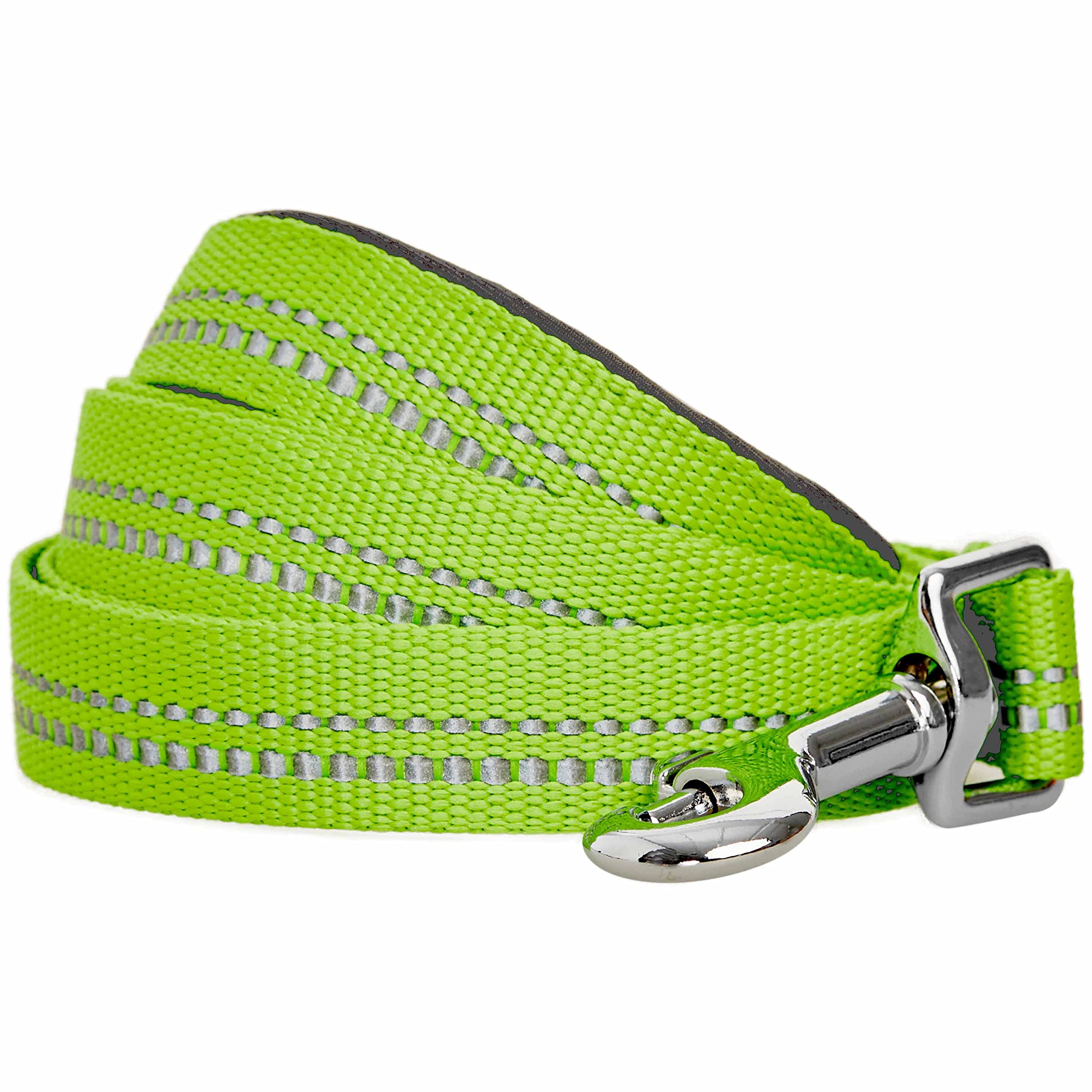 Blueberry Pet 3M Reflective Pastel Color Dog Leash with Soft & Comfortable Handle, 150 cm x 1.5cm, Green Flash, Small, Leashes for Dogs