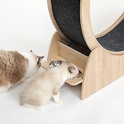 5-in-1 Cat Wheel,Cat Exercise Wheel,41.3" High