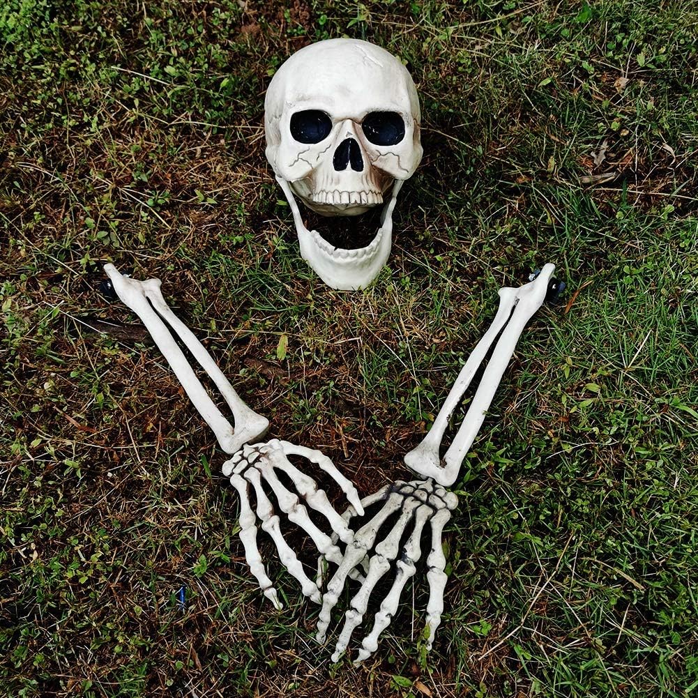 Decorative Garden Stakes - yosager Realistic Skull and Skeleton Arms Stakes, Indoor Outdoor Graveyard Best Halloween Yard Decorations
