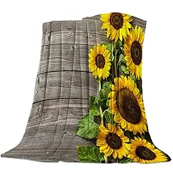 Flannel Fleece Bed Blankets Lightweight Cozy Throw