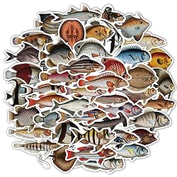 Funny Fish Stickers for Water Bottle, 50pcs Cool