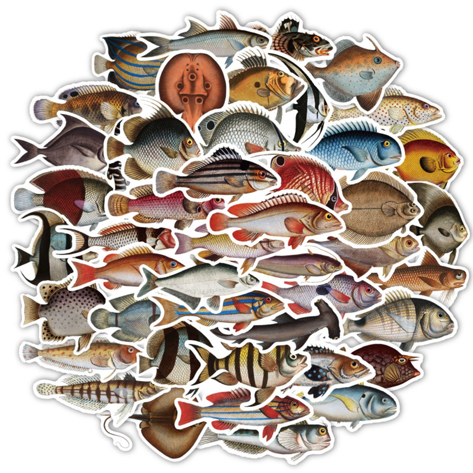 Funny Fish Stickers for Water Bottle, 50pcs Cool