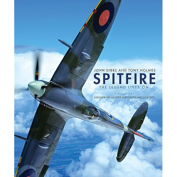 Flying Legends: A photographic study of the great piston