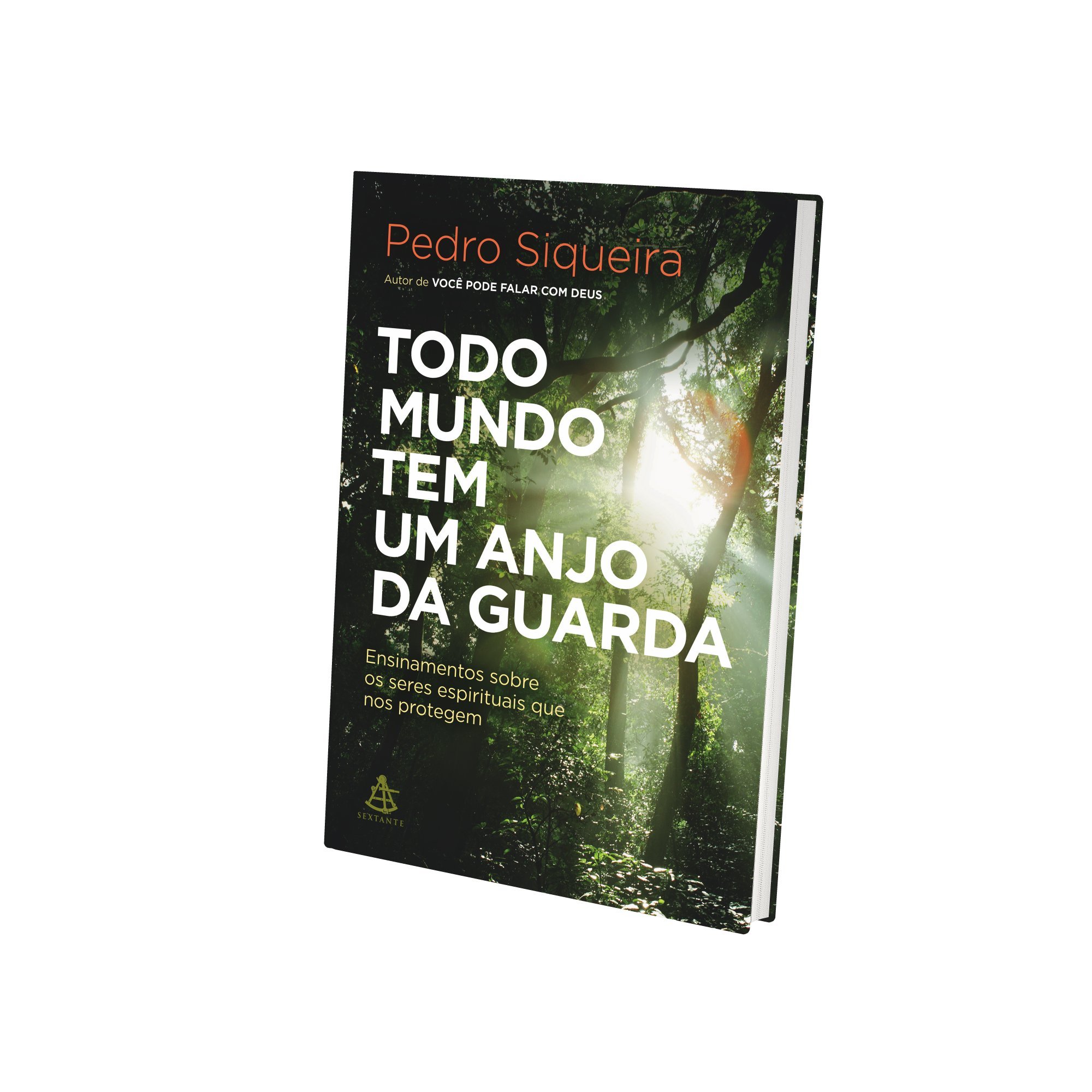 Todo Mundo Tem Um Anjo da Guarda PDF Pedro Siqueira
