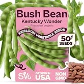 SVI 50 Kentucky Wonder Bush Bean Seeds (Phaseolus vulgaris) &ndash; Green Beans Seed Packets, Pole Beans &ndash; Heirloom Vegetable Seeds for Outdoor, Vegetable Garden, Containers