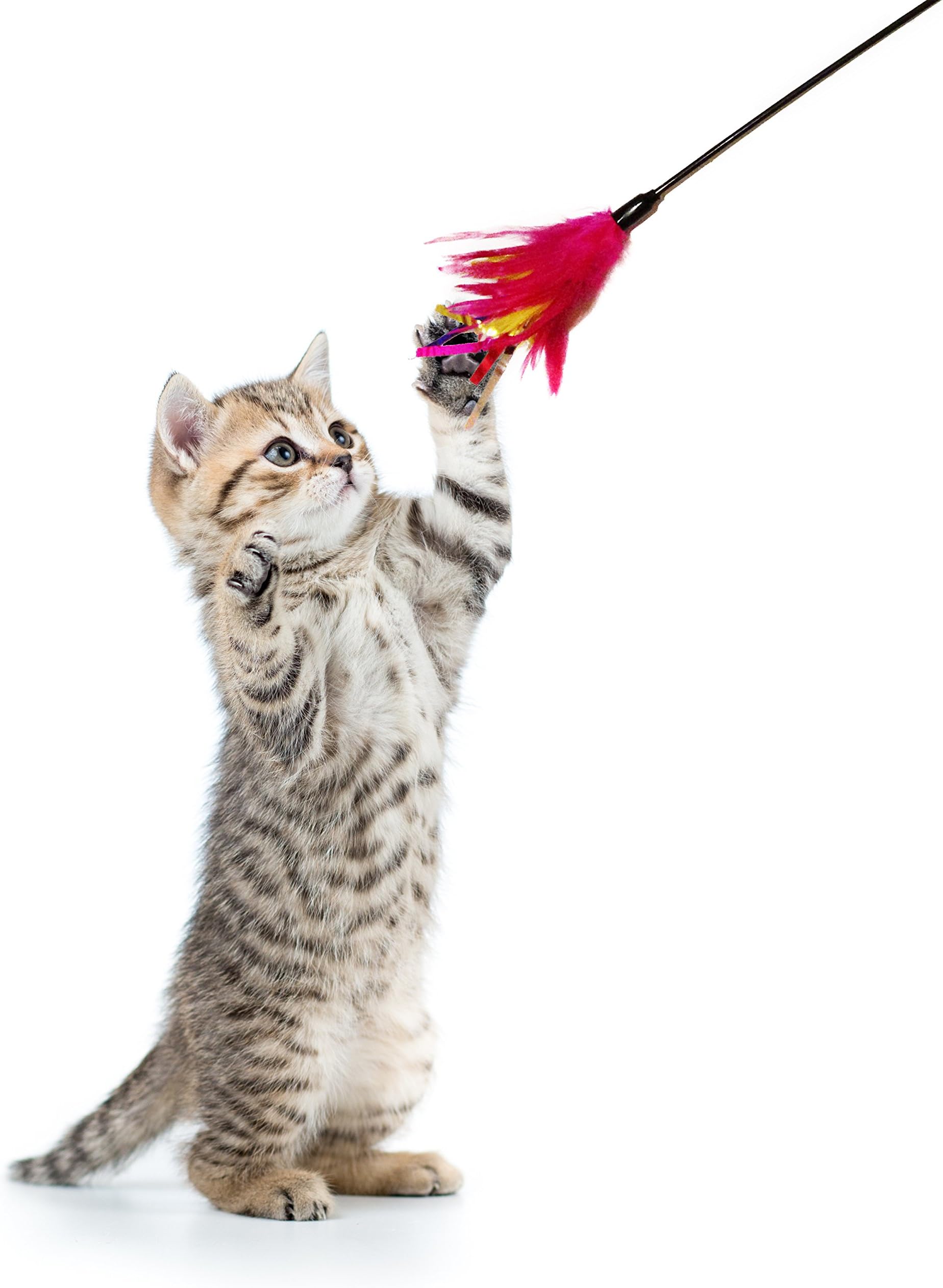 Feather Wand