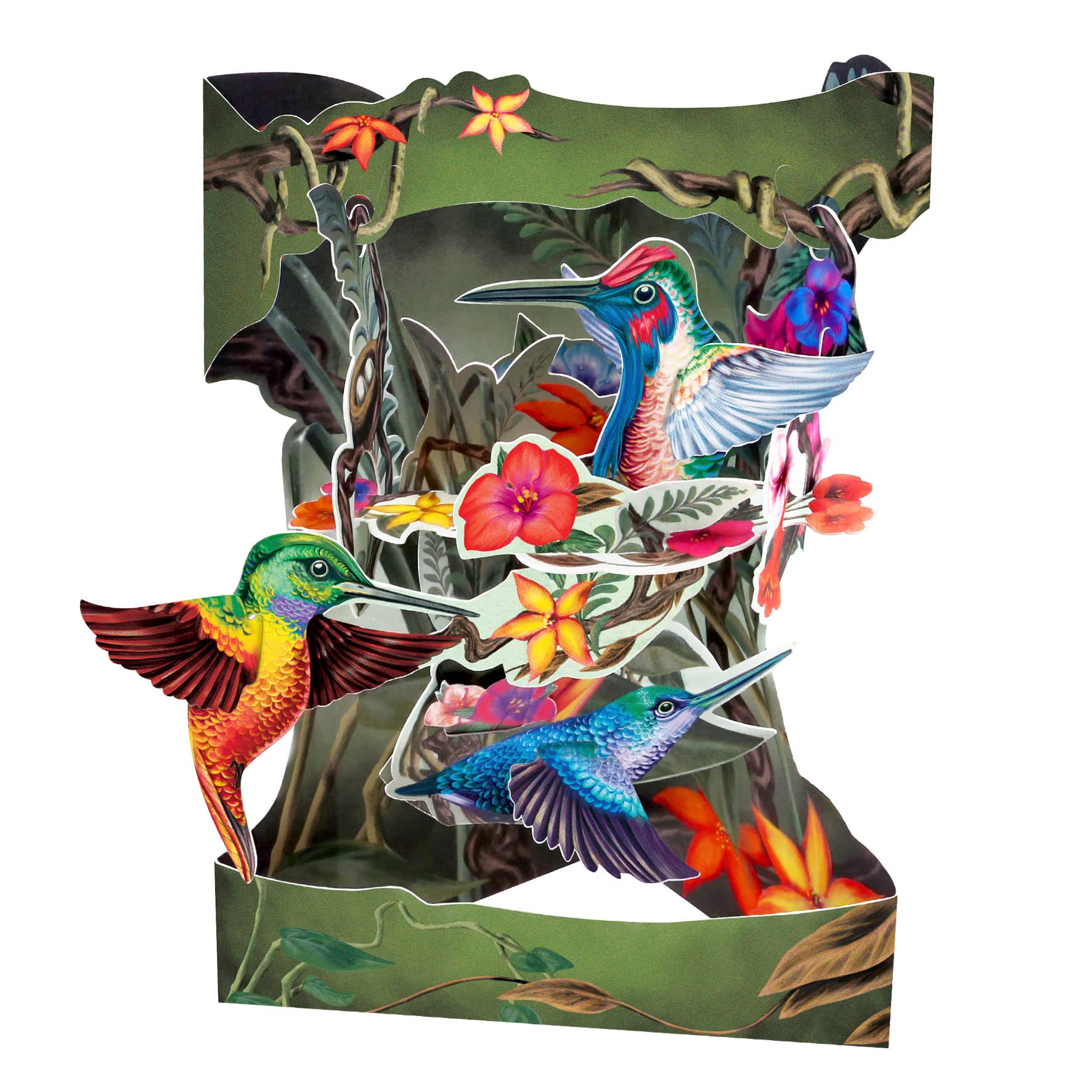 SANTORO Swing Card, 3D Pop Up Greeting Card - Hummingbirds - For Her, For Mum, Birthday, Mother's Day
