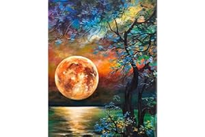 FLTIDUNDI Moon Diamond Painting Kits - 5D DIY Diamonds Dots Art for Adults Full Drill Round Gem Painting Crystal Craft Kit for Adults for Wall Décor (20x16inch Moon) (20×16in, Moon)
