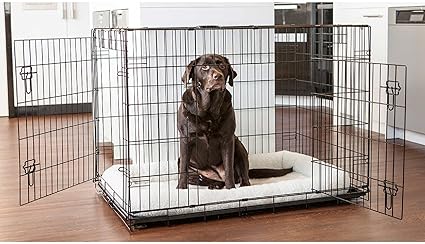Lucky Dog Double Door Dog Crate With Pet Crate Pillow 91 4 Cm 36