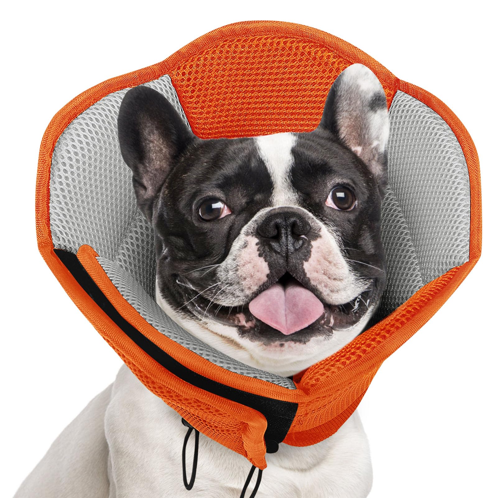 Photo 1 of AOFITEE Dog Cone for Dogs After Surgery, Soft Dog Cone Collar for Large Medium Small Dogs, Adjustable Dog Recovery Collars & Cones, Breathable Elizabethan Collar for Dogs to Prevent Licking Wounds