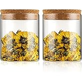 WHJY 2 pack Glass Jar with Cork Lid 16oz Decorative Candy Jar Cylinder Glass Containers with Lids Small Airtight Glass Jar for Sugar Tea Leaves Nuts Coffee Bean