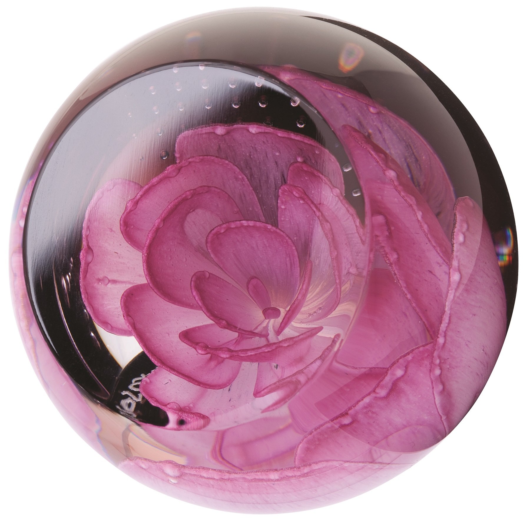 Caithness Glass Charms Pink Rose Paperweight | Pink | 65mm x 65mm | Handcrafted in Scotland | Handmade Glass Paperweight | Grace and elegance captured by a pale pink rose | Ornamental | Gift Boxed