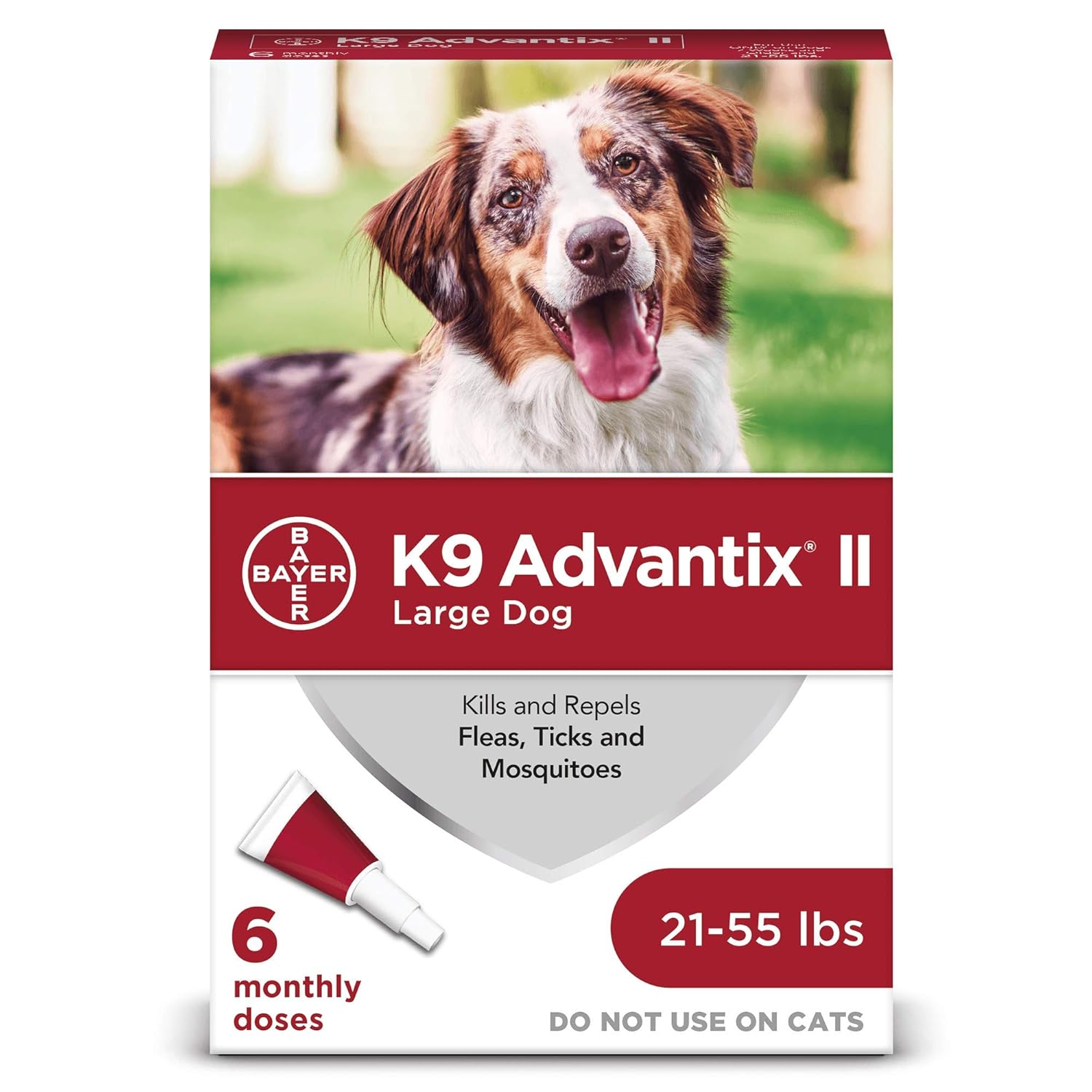 Best Flea Medicine For Outside Dogs MedicineWalls
