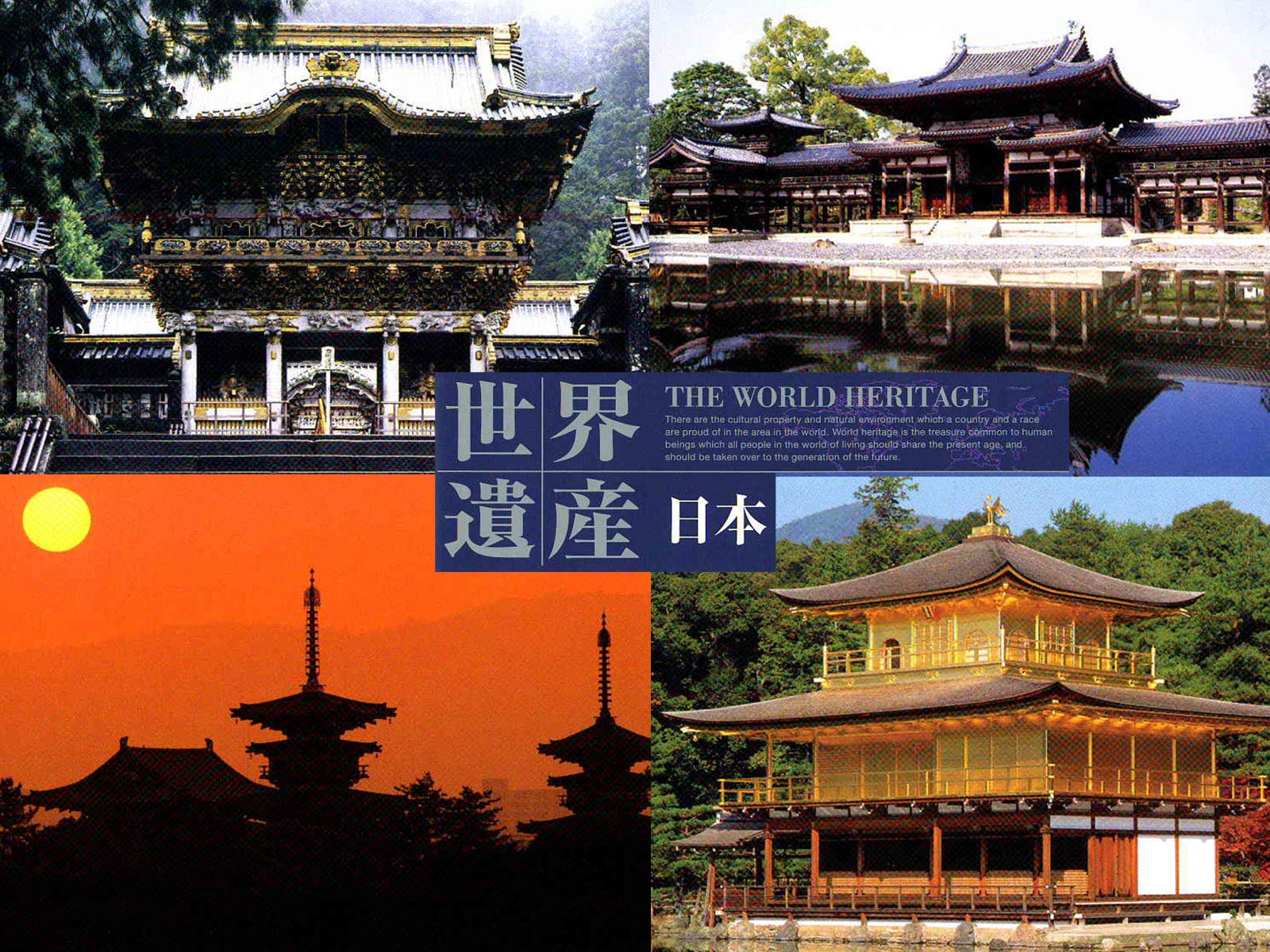 Amazon Co Jp おうちでテーマパーク散歩を観る Prime Video