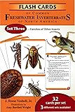 Field Guide To Freshwater Invertebrates Of North America
