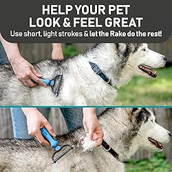 Maxpower Planet Pet Grooming Brush and 2X Grooming