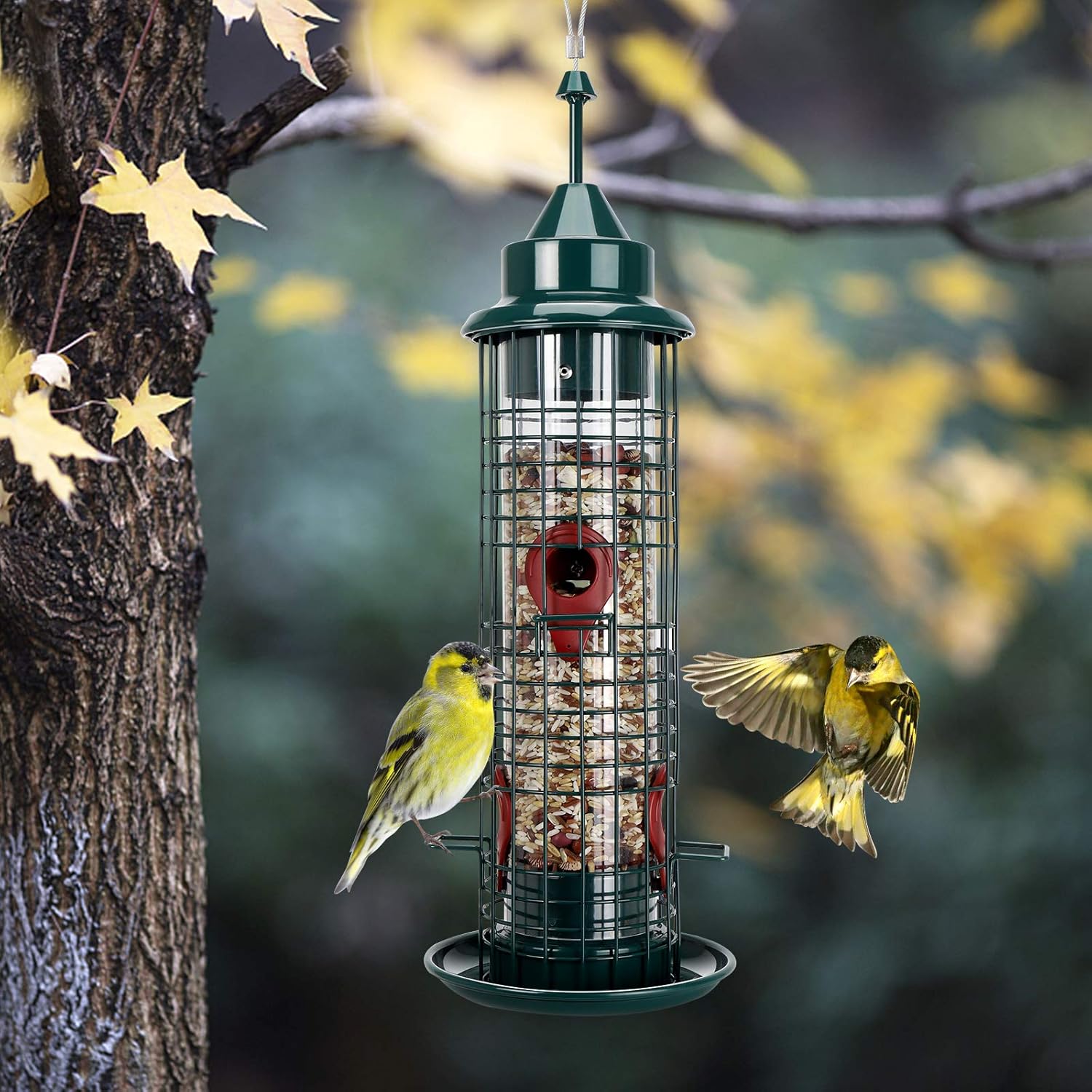 Hanging Wild Bird Feeder Tube Bird Feeders for Garden Yard Outside Decoration, 1.3-Pound Seed Capacity, Lighthouse Shaped : Garden & Outdoor