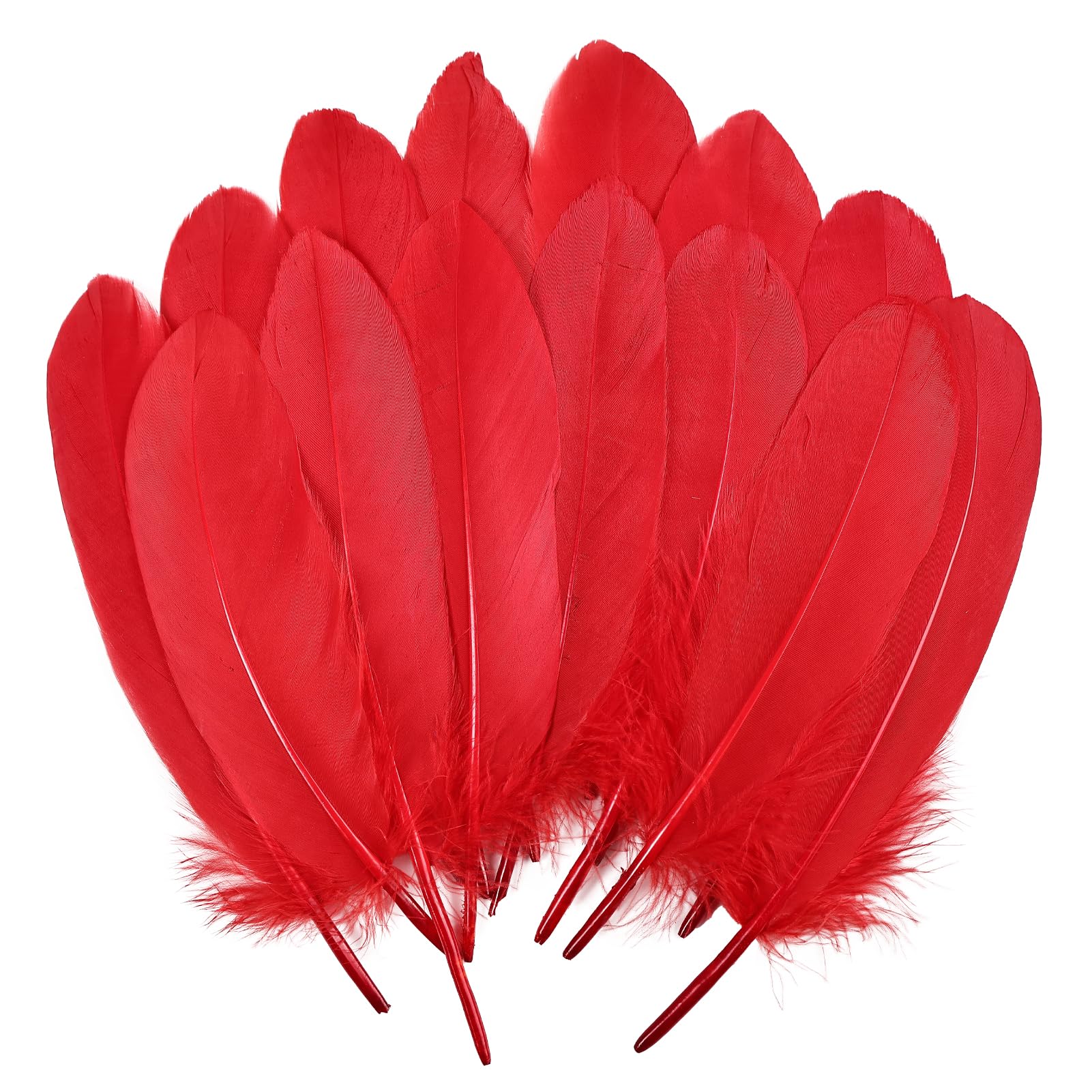 Photo 1 of THARAHT 120pcs Red Goose Feathers Natural Bulk 6-8 inch 15-20cm for Crafts DIY Cosplay Wedding Party Halloween Decoration Goose Nagoire Feathers