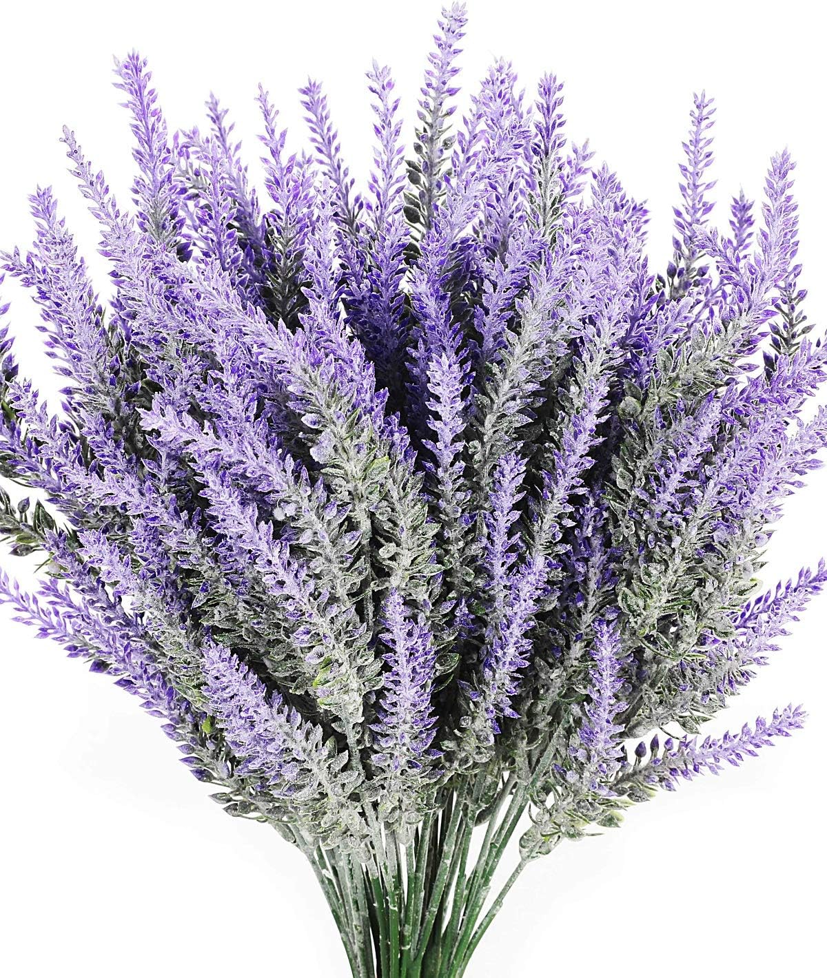 Best Silk Wild Flowers For Outdoors Garden Box