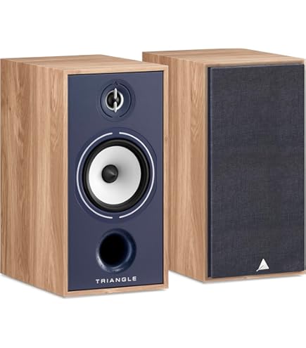 Amazon.com: triangle - BOREA BR02 Connect Active Speakers