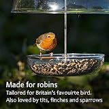 Jacobi Jayne I Love Robins Pearl Feeder Large - Clear Tray Dome view 2