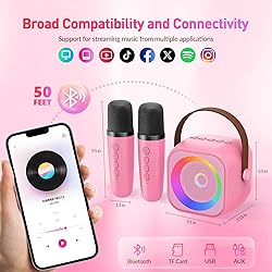 Mini Karaoke Machine with 2 Wireless Microphones