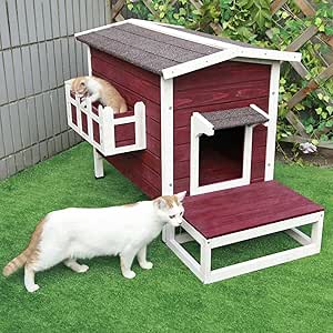outdoor pet houses for cats