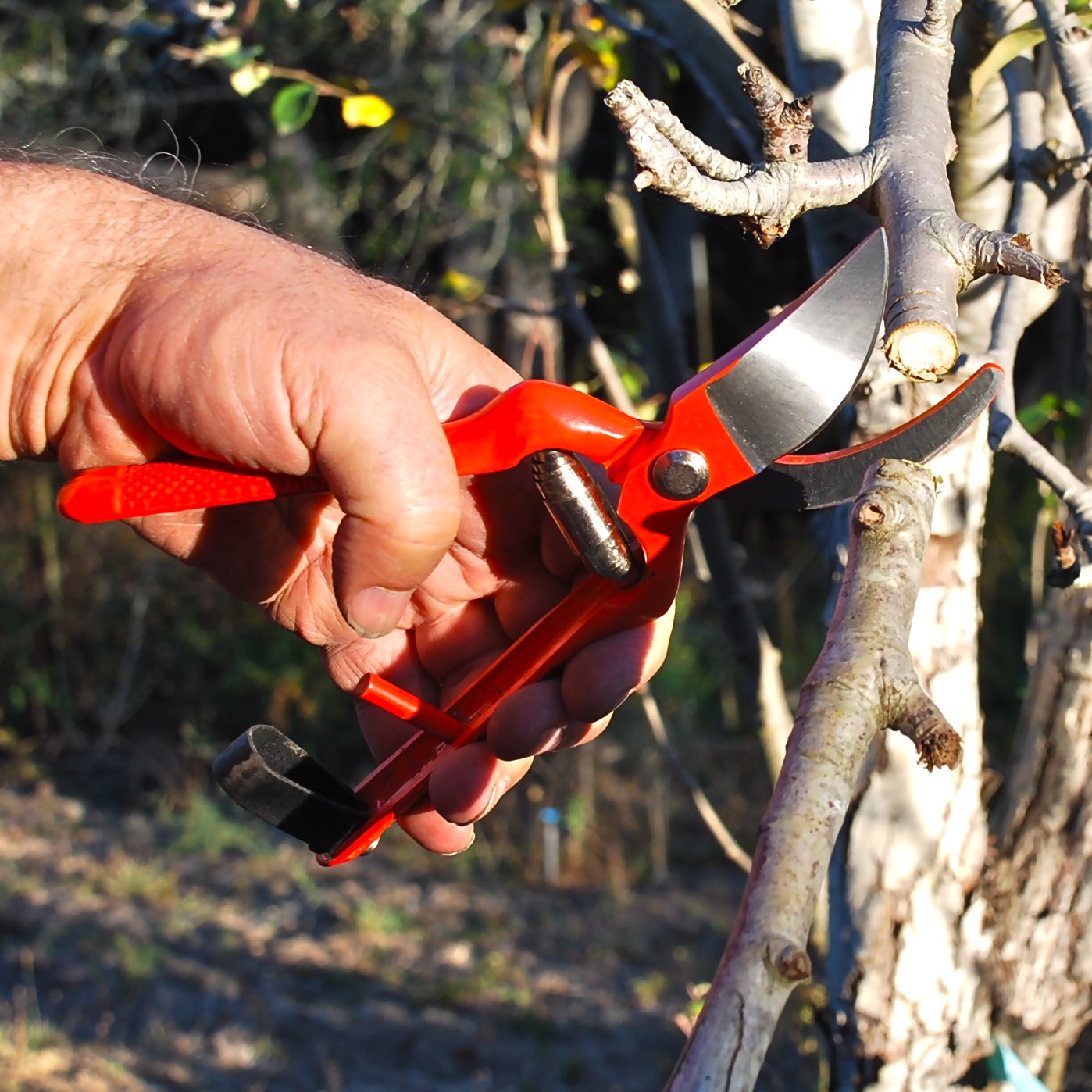 Professional Pruning Shears Best Heavy Duty Hand Pruners for Serious