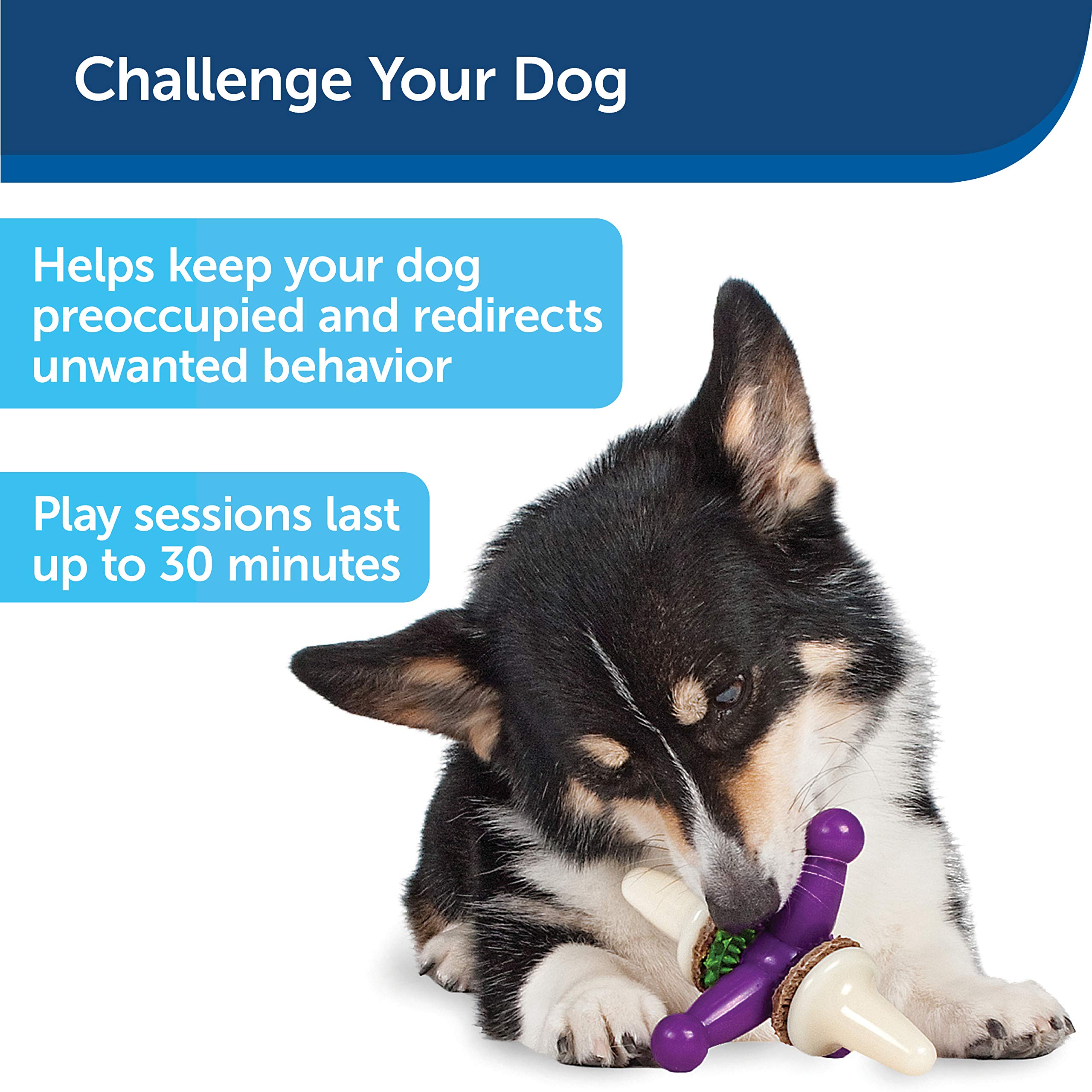 PetSafe Busy Buddy Jack - Treat Holding Dog Chew Toys - Helps Clean Teeth - Vanilla Scented Rubber for Strong Chewers - Treat Refills Included, Interactive Dog Toy Helps Keep Dogs Busy, Purple, Medium