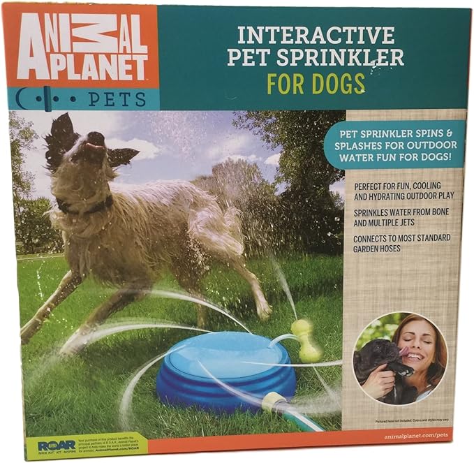 most interactive pets