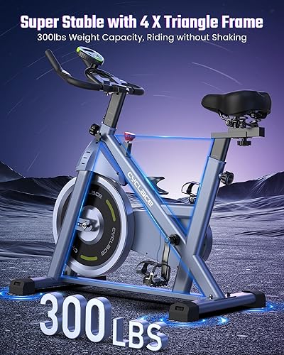 Exercise Bike Bikes With 300 Lb Weight Limit Magnetic Recumbent