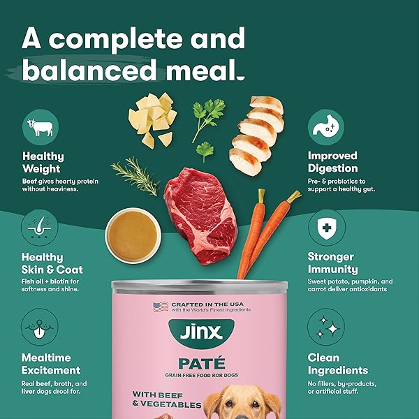 JINX PREMIUM WET DOG FOOD CANS – BEEF PATE – GRAIN-FREE CANNED DOG FOOD PATE & TOPPER WITH REAL INGREDIENTS & NO FILLERS – ALL LIFE STAGES, BREEDS & SIZES – 12-PACK, 13 OZ