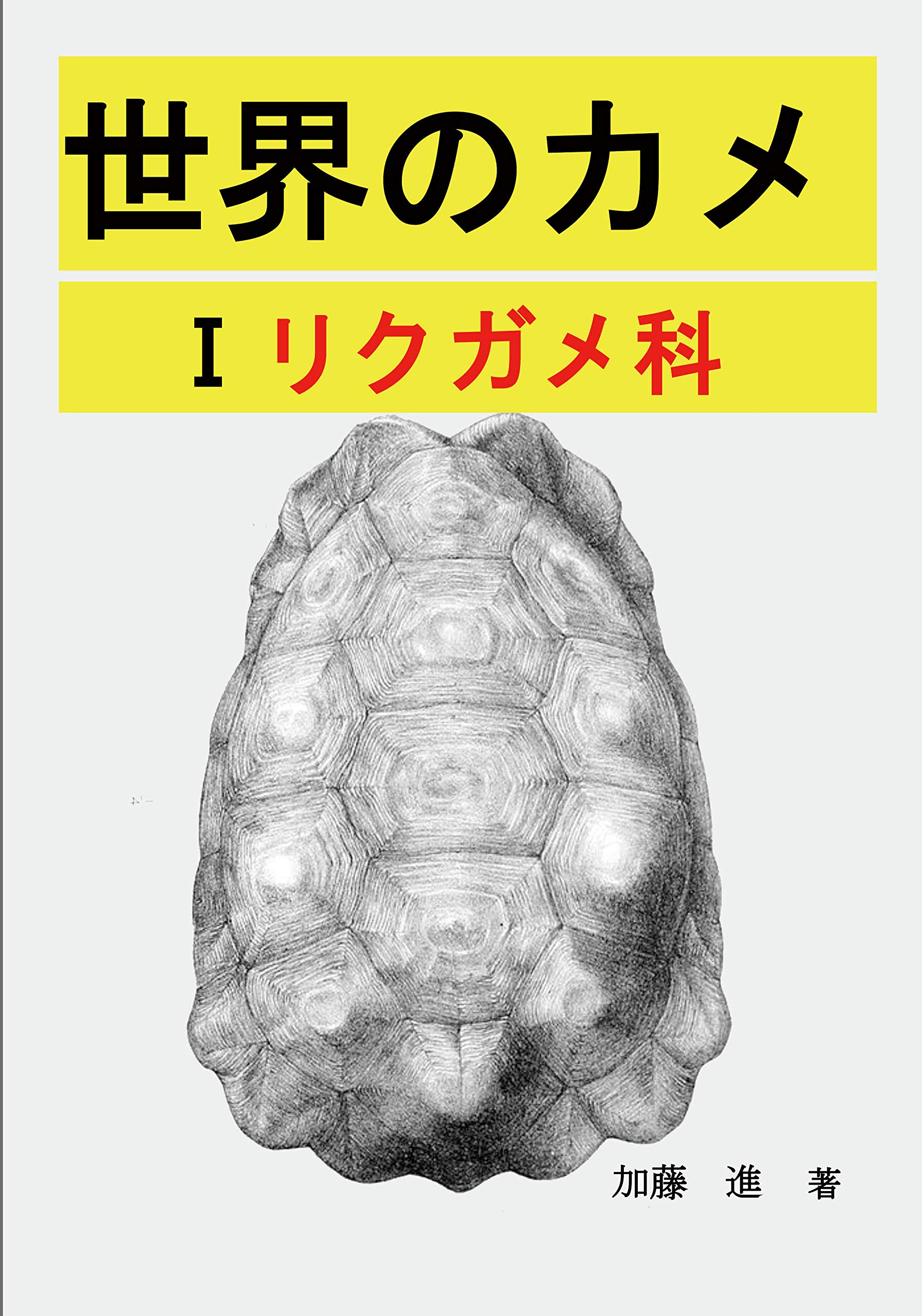 B5 手描きイラストプリント かめ カメ リクガメ 亀 招福 爬虫類 絵 縁起 長寿亀 開運の象徴 雲海 年中無休 絵