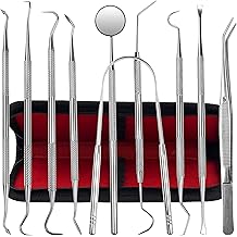 Dental Kit Tools, 10 Pack Stainless Steel Plaque Remover, Dental Tools to Remove Plaque and Tartar, Oral Care Kit with Plaque