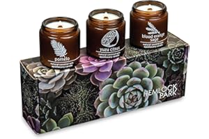 Hemlock Park Apothecary Wood Wick Candle Trio | Gift Set of Three 4 oz Candles Handcrafted with Natural Coconut Wax (Citrus | Pomelo, Yuzu Citrus, Blood Orange Sage)