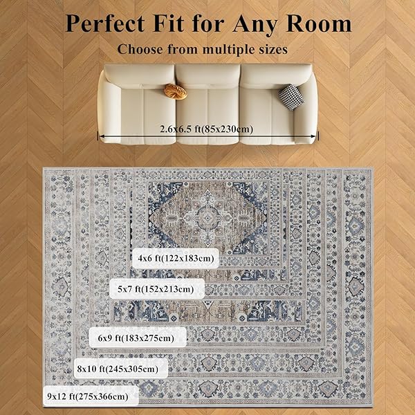 KENODITAN 9X12 AREA RUG LIVING ROOM RUGS, STAIN RESISTANT WASHABLE RUG, VINTAGE LARGE NON-SLIP BACKING, LOW PILE LIGHTWEIGHT PRINT RUG FOR BEDROOM DINNING ROOM HOME OFFICE (TAUPE/BLUE)
