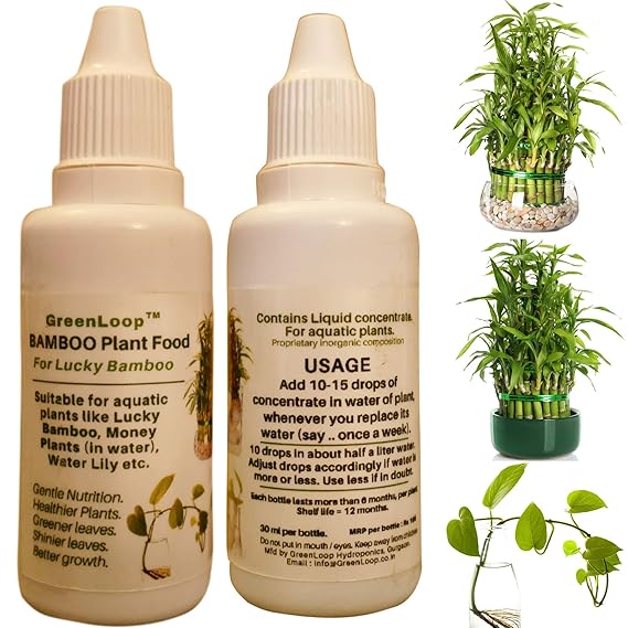 GreenLoop - Bamboo Plant Food (& for Money Plants) - Liquid Fertilizer for Aquatic Plants (in Water)