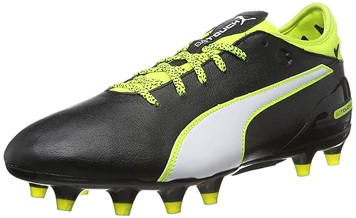 puma evo touch 2