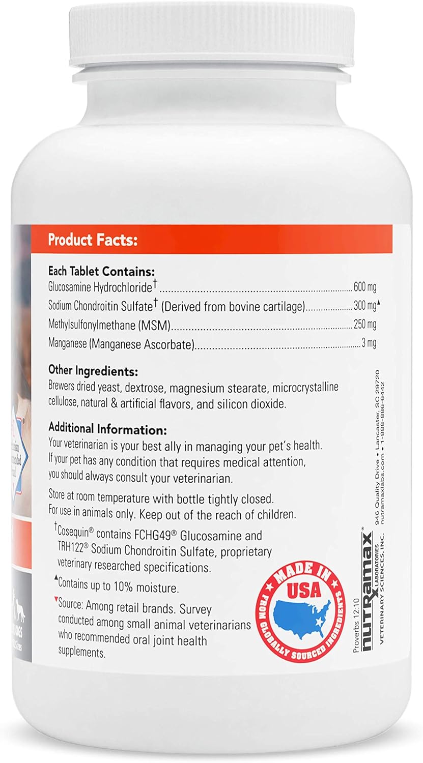 COSEQUIN w/MSM Chewable Tablets, 132 ct : Pet Bone And Joint Supplements : Pet Supplies