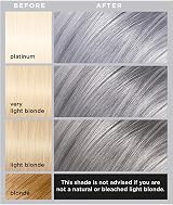 L'Oréal Colorista Permanent Gel Hair Dye Silver Grey Long-Lasting Shine view 2
